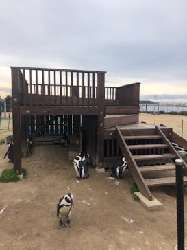 名古屋港水族館に投稿された画像（2022/1/30）