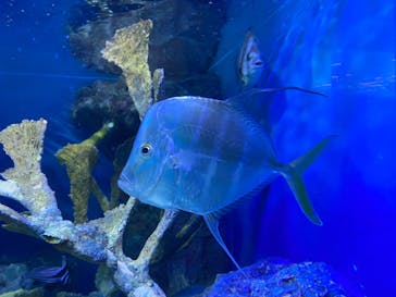サンシャイン水族館に投稿された画像（2022/1/30）