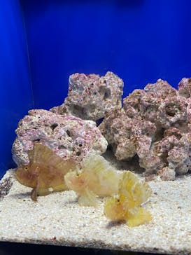 サンシャイン水族館に投稿された画像（2022/1/30）