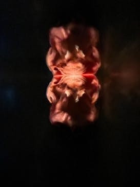 サンシャイン水族館に投稿された画像（2022/1/30）