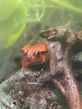 サンシャイン水族館に投稿された画像（2022/1/30）