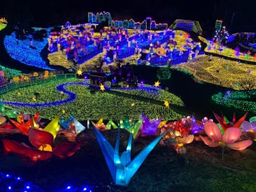 伊豆ぐらんぱる公園に投稿された画像（2022/1/30）