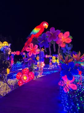 伊豆ぐらんぱる公園に投稿された画像（2022/1/30）