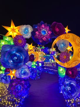 伊豆ぐらんぱる公園に投稿された画像（2022/1/30）