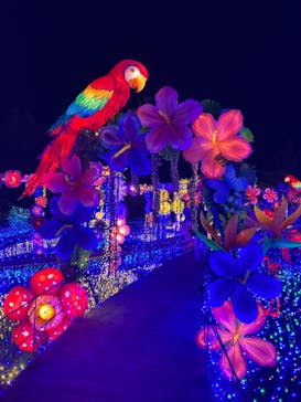 伊豆ぐらんぱる公園に投稿された画像（2022/1/30）