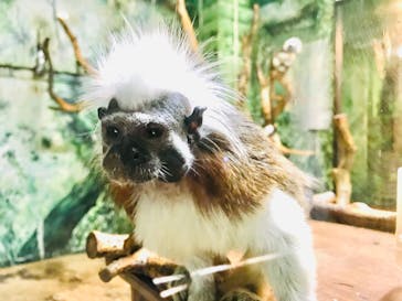 伊豆シャボテン動物公園に投稿された画像（2022/1/30）