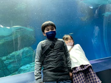 マクセル アクアパーク品川に投稿された画像（2022/1/30）