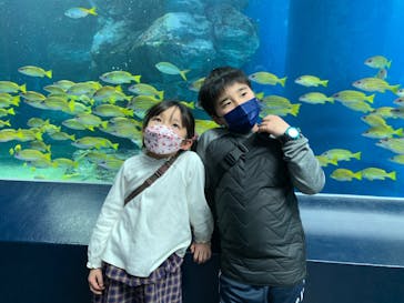 マクセル アクアパーク品川に投稿された画像（2022/1/30）