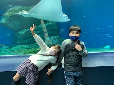 マクセル アクアパーク品川に投稿された画像（2022/1/30）