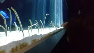 すみだ水族館に投稿された画像（2022/1/30）