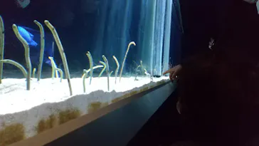 すみだ水族館に投稿された画像（2022/1/30）