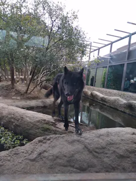 神戸どうぶつ王国に投稿された画像（2022/1/30）