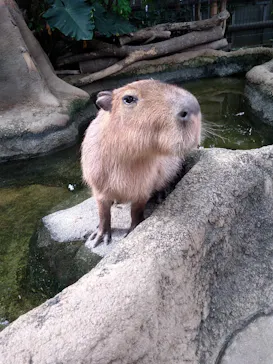 神戸どうぶつ王国に投稿された画像（2022/1/30）