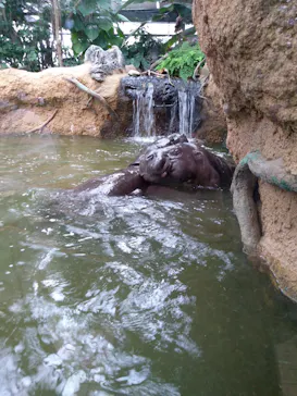 神戸どうぶつ王国に投稿された画像（2022/1/30）