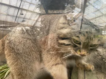 神戸どうぶつ王国に投稿された画像（2022/1/30）