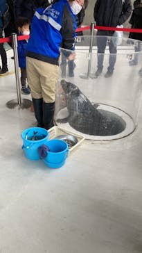 しながわ水族館に投稿された画像（2022/1/30）