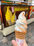 伊豆ぐらんぱる公園に投稿された画像（2022/1/30）