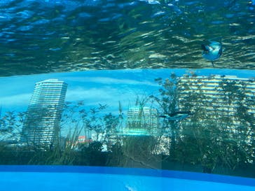 サンシャイン水族館に投稿された画像（2022/1/30）
