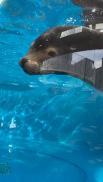 サンシャイン水族館に投稿された画像（2022/1/30）