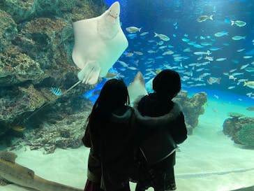 サンシャイン水族館に投稿された画像（2022/1/30）
