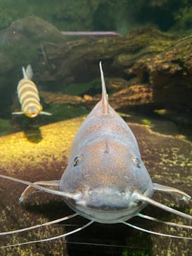 サンシャイン水族館に投稿された画像（2022/1/30）