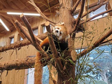 伊豆シャボテン動物公園に投稿された画像（2022/1/30）