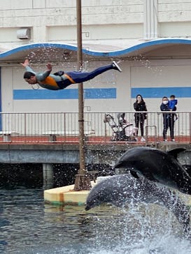 伊豆・三津シーパラダイスに投稿された画像（2022/1/30）