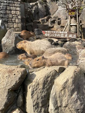 伊豆シャボテン動物公園に投稿された画像（2022/1/30）