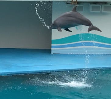 南知多ビーチランド＆南知多おもちゃ王国に投稿された画像（2022/1/30）