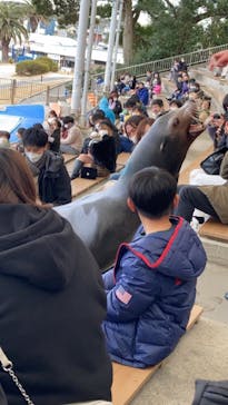 南知多ビーチランド＆南知多おもちゃ王国に投稿された画像（2022/1/30）