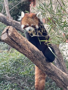 群馬サファリパークに投稿された画像（2022/1/30）