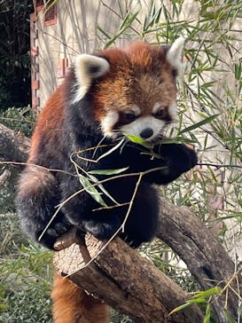 群馬サファリパークに投稿された画像（2022/1/30）