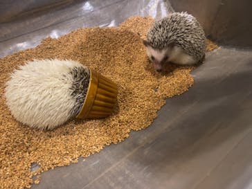 HARRY　原宿駅前店に投稿された画像（2022/1/30）