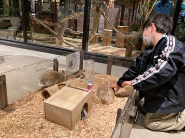 Moff animal world MARK IS みなとみらい店に投稿された画像（2022/1/30）