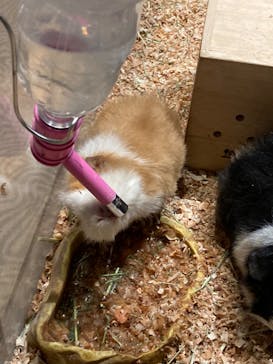 Moff animal world MARK IS みなとみらい店に投稿された画像（2022/1/30）