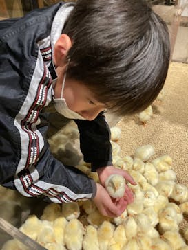 Moff animal world MARK IS みなとみらい店に投稿された画像（2022/1/30）