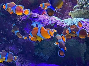 サンシャイン水族館に投稿された画像（2022/1/30）