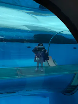 横浜・八景島シーパラダイスに投稿された画像（2022/1/30）