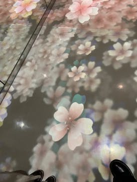 サンシャイン60展望台に投稿された画像（2022/1/30）