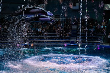 マクセル アクアパーク品川に投稿された画像（2022/1/30）