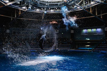 マクセル アクアパーク品川に投稿された画像（2022/1/30）