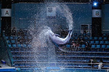 マクセル アクアパーク品川に投稿された画像（2022/1/30）