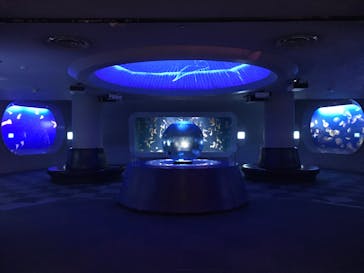 新江ノ島水族館に投稿された画像（2022/1/30）