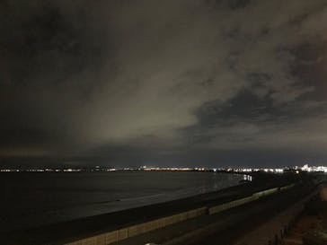 新江ノ島水族館に投稿された画像（2022/1/30）