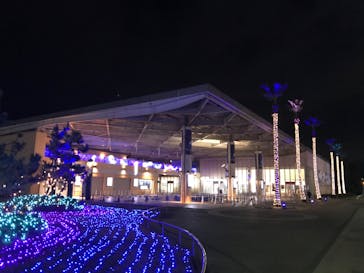 新江ノ島水族館に投稿された画像（2022/1/30）