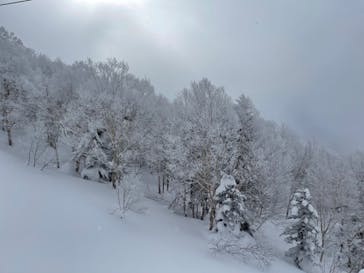 竜王スキーパークに投稿された画像（2022/1/30）