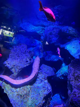 すみだ水族館に投稿された画像（2022/1/30）