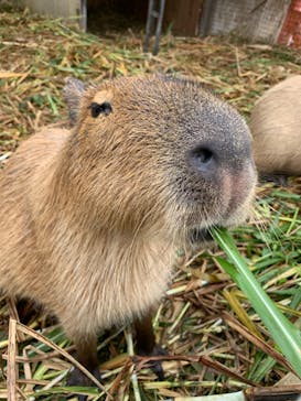 ネオパークオキナワに投稿された画像（2022/1/30）