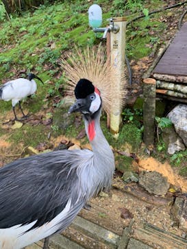 ネオパークオキナワに投稿された画像（2022/1/30）