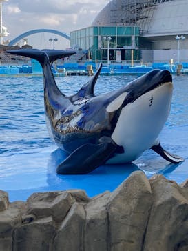 名古屋港水族館に投稿された画像（2022/1/30）